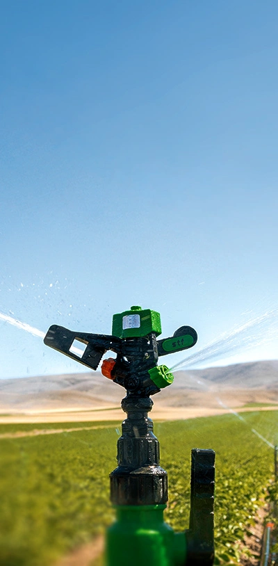 Sustainable Solutions in Agriculture!