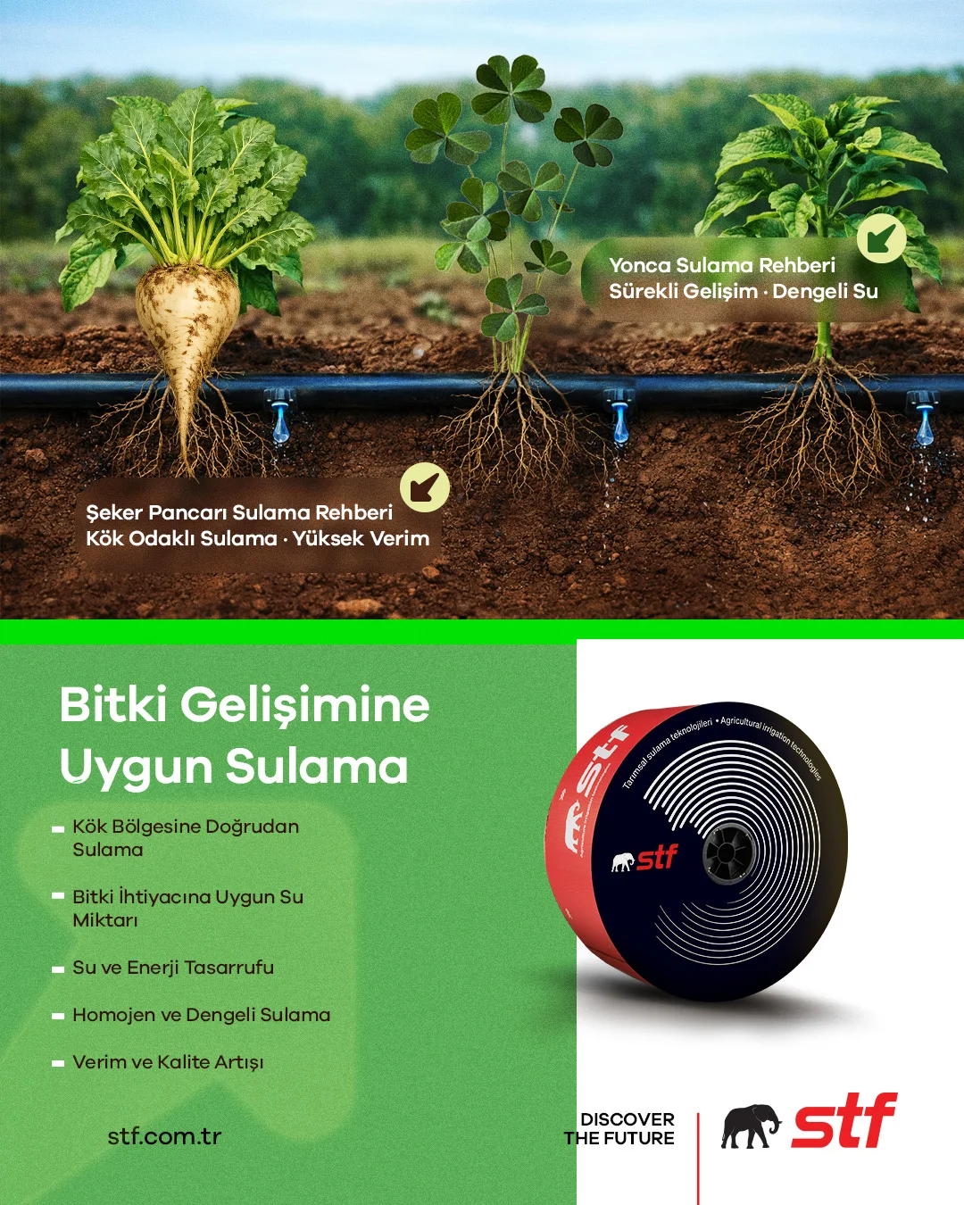 Konya Havzası’nda Yonca ve Şeker Pancarı Sulama Rehberi: Verimi Artırmanın 5 Kolay Yolu 1 STF